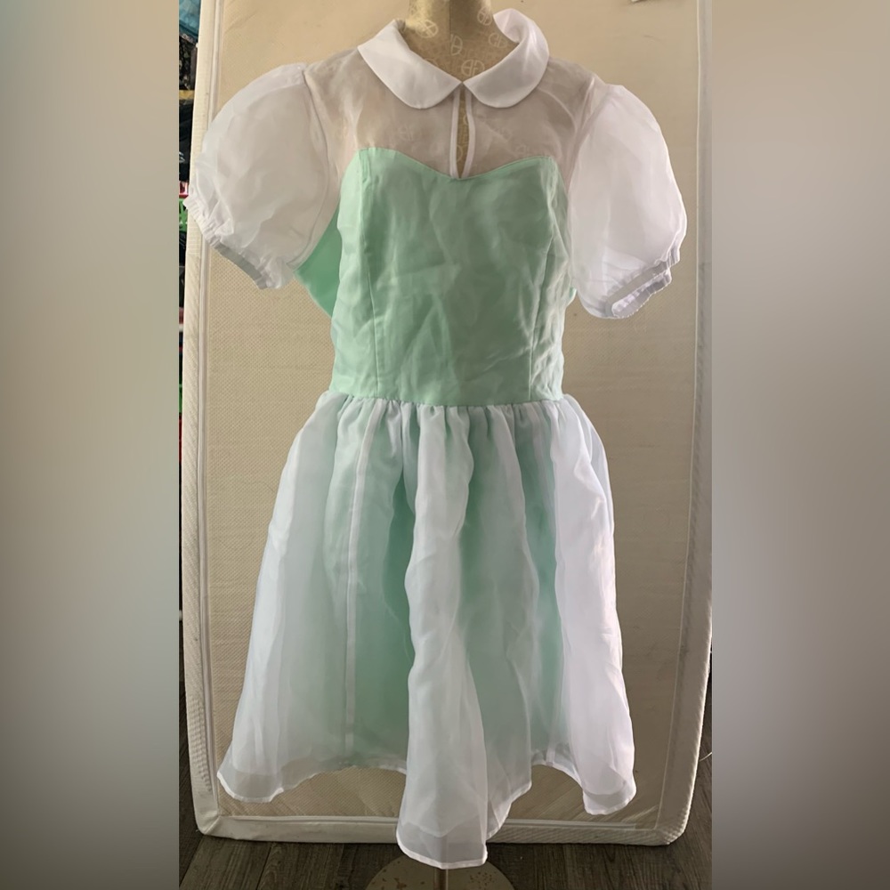 ‼️ PRICE DROP ‼️ Mint Green Sheer Collared Princess Dress Plus Size